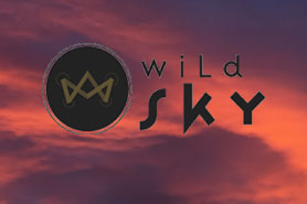Wild Sky Aerial